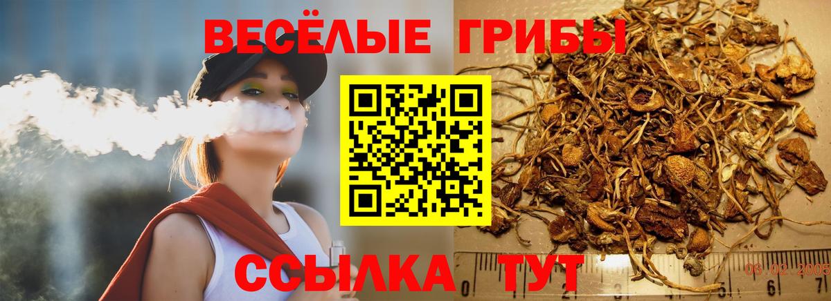 Псилоцибиновые грибы Psilocybe  Вход с VPN  Самара 